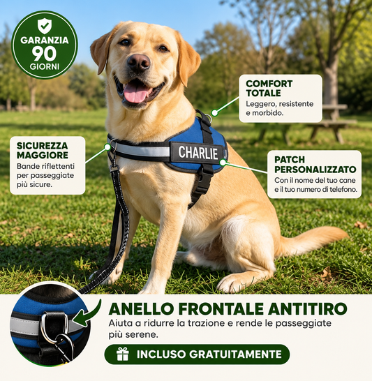 Pettorina Antistrappo Farcelino